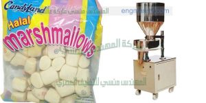 ماكينة تعبئة البونبوني او الحلوي في أكياس لدى شركة المهندس منسى